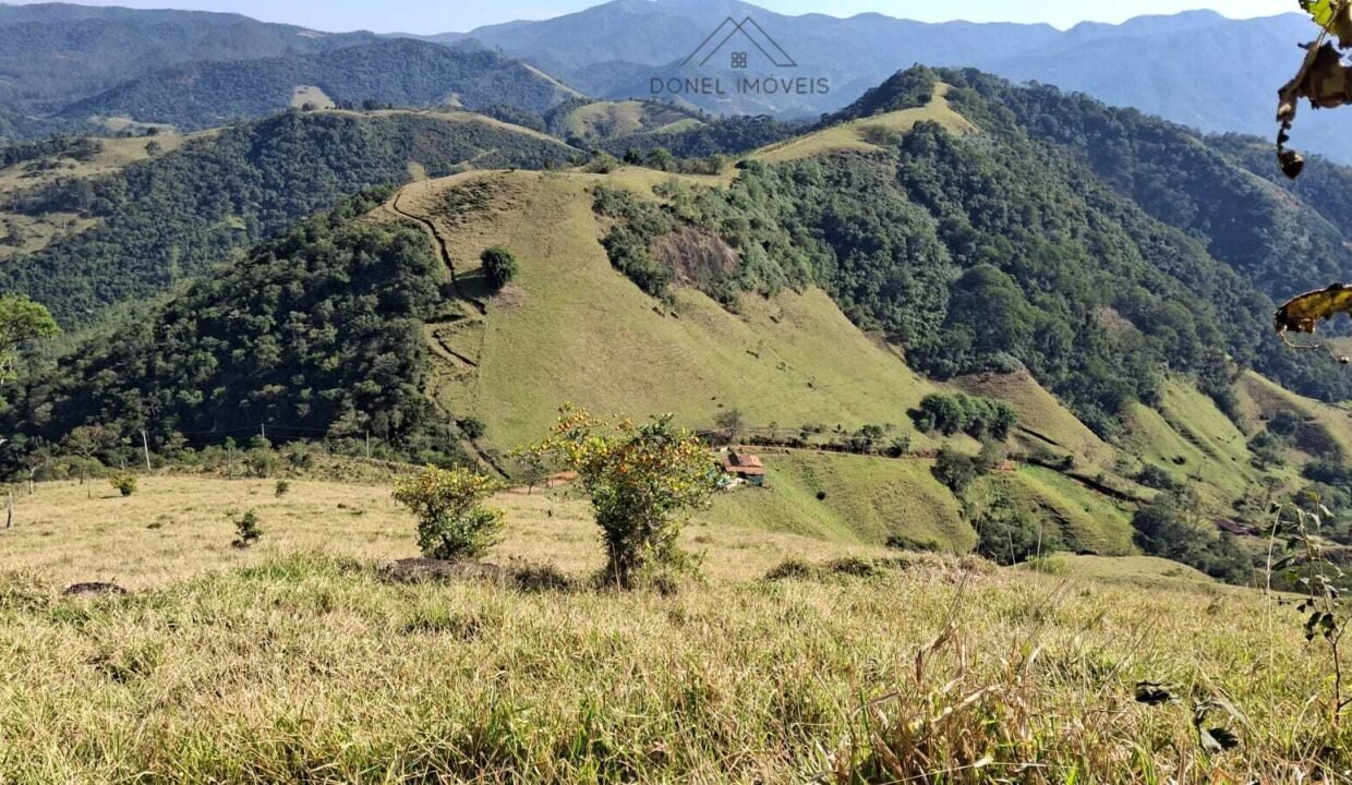 WhatsApp Image 2025-07-22 at 20.29.16 (1)