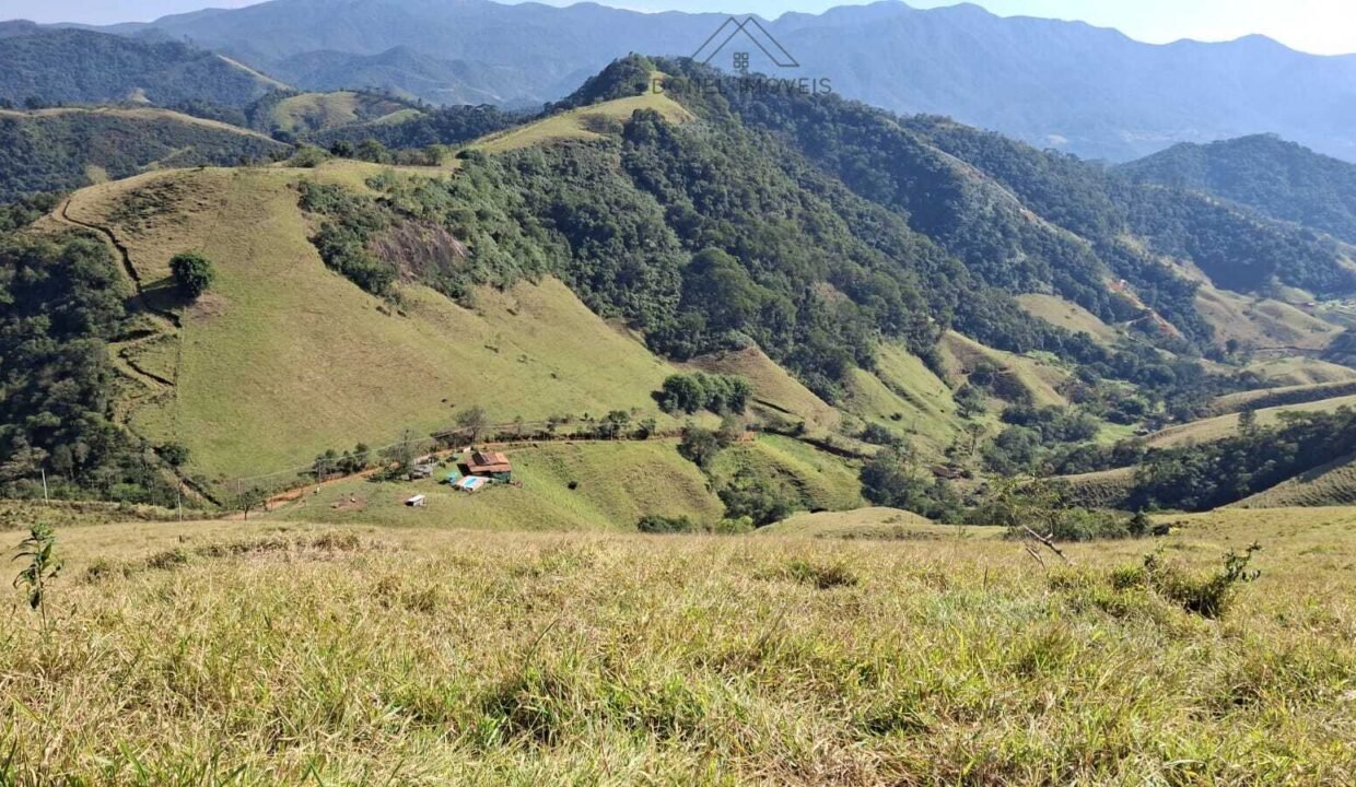 WhatsApp Image 2025-07-22 at 20.29.17 (1)