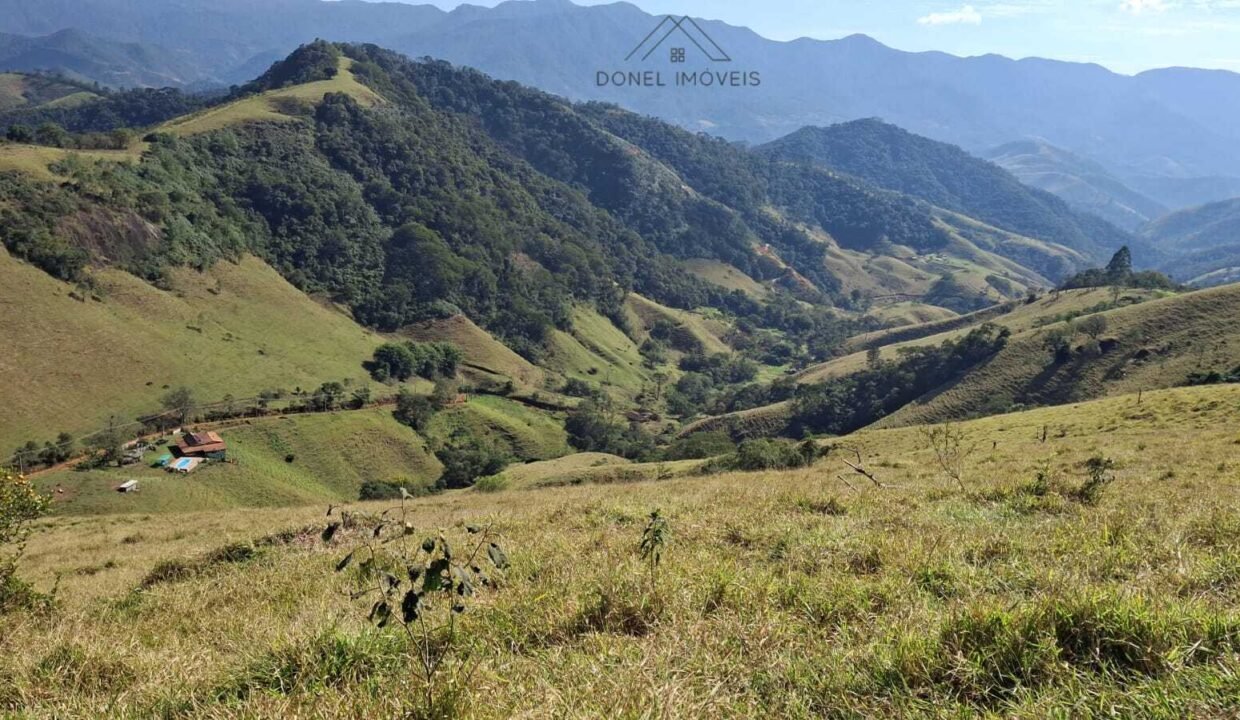 WhatsApp Image 2025-07-22 at 20.29.17