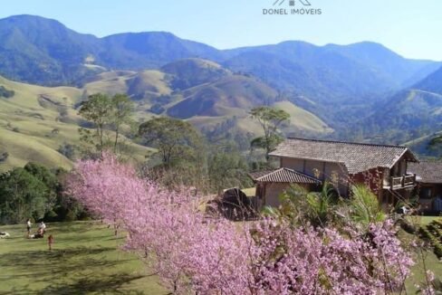 WhatsApp Image 2025-07-22 at 20.30.03 (1)