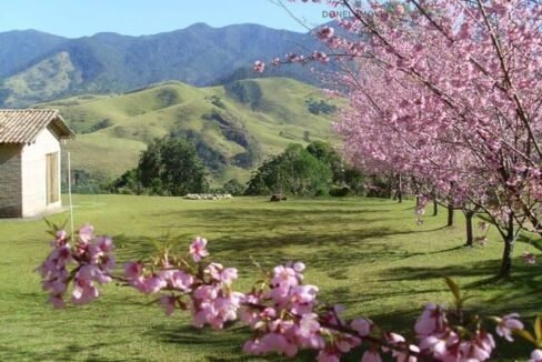 WhatsApp Image 2025-07-22 at 20.30.03 (3)