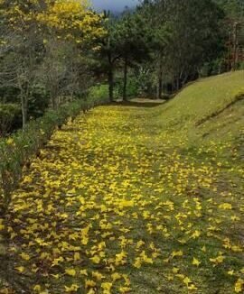 WhatsApp Image 2025-07-22 at 20.30.04