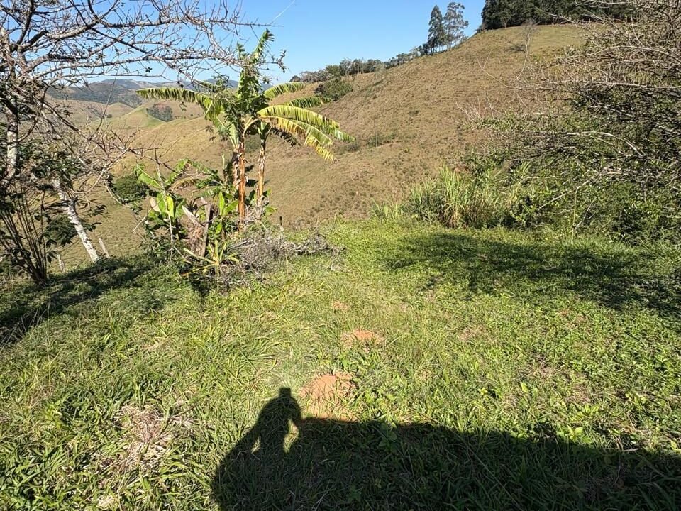 WhatsApp Image 2025-07-22 at 20.38.09