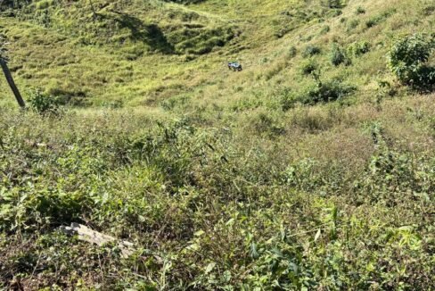 WhatsApp Image 2025-07-22 at 20.38.10 (2)