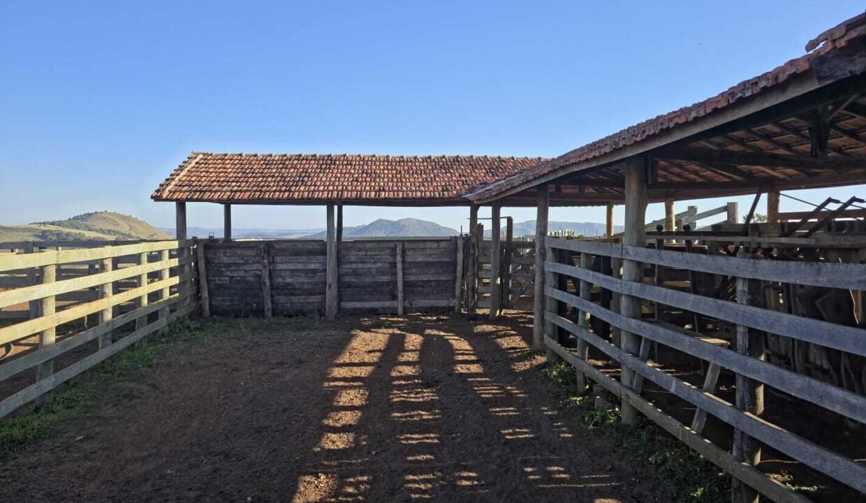 WhatsApp Image 2025-07-30 at 10.15.32