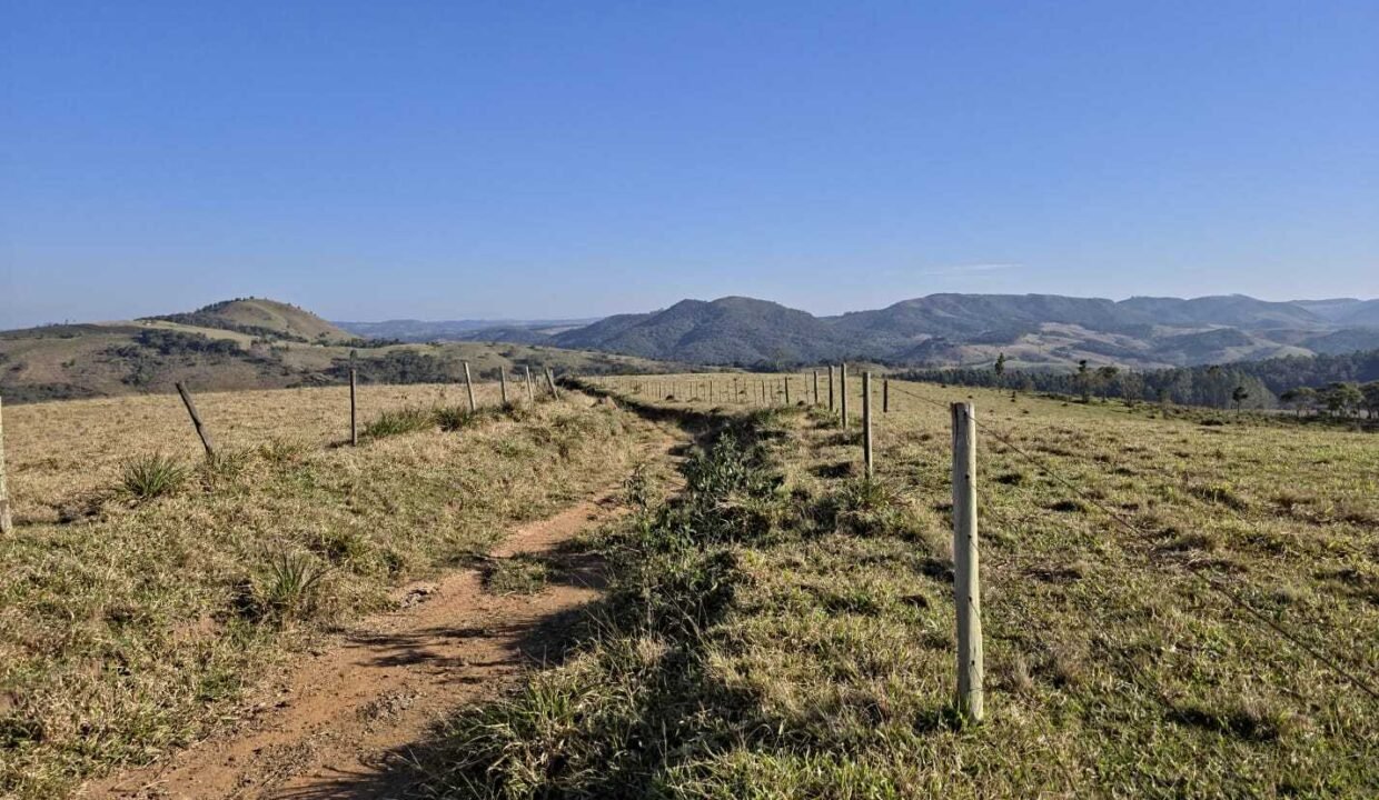 WhatsApp Image 2025-07-30 at 10.15.33 (1)