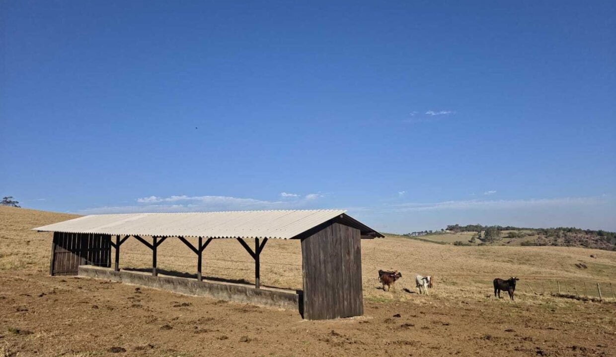 WhatsApp Image 2025-07-30 at 10.15.33