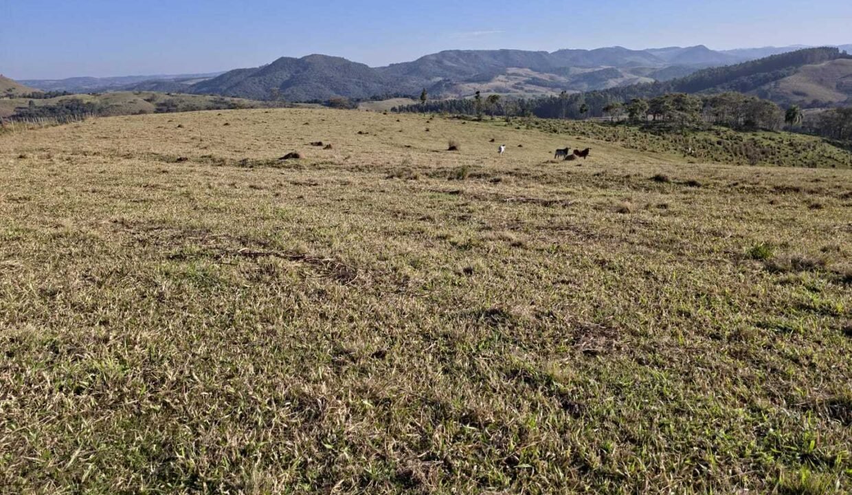 WhatsApp Image 2025-07-30 at 10.15.33 (2)