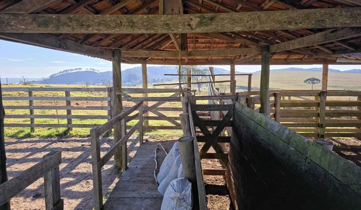 WhatsApp Image 2025-07-30 at 10.15.34 (1)