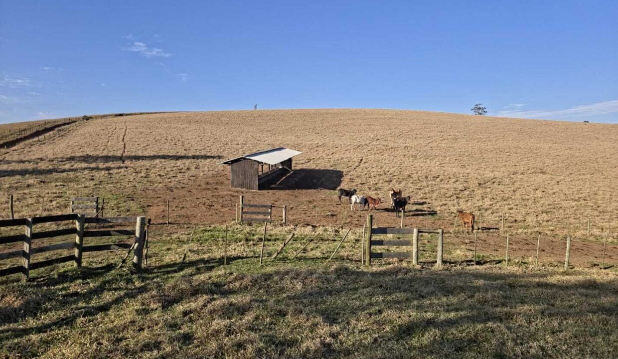 WhatsApp Image 2025-07-30 at 10.15.34 (2)