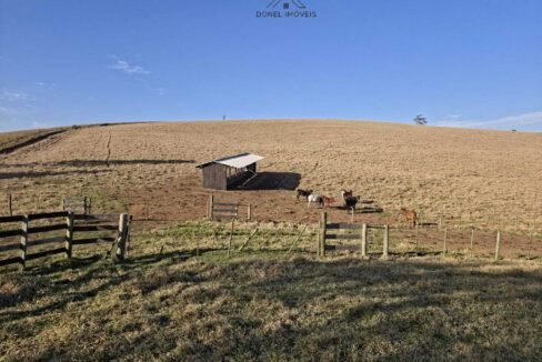 WhatsApp Image 2025-07-30 at 10.15.34 (2)