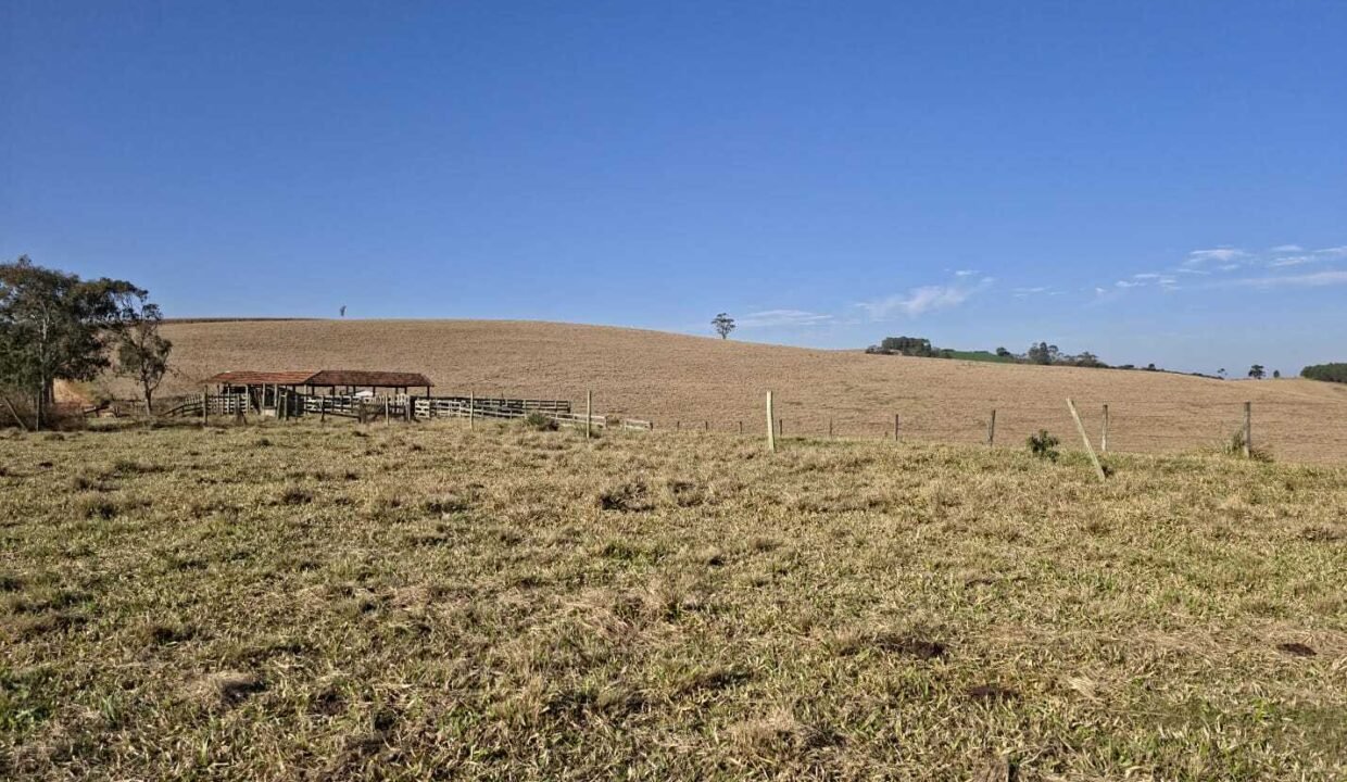 WhatsApp Image 2025-07-30 at 10.15.35