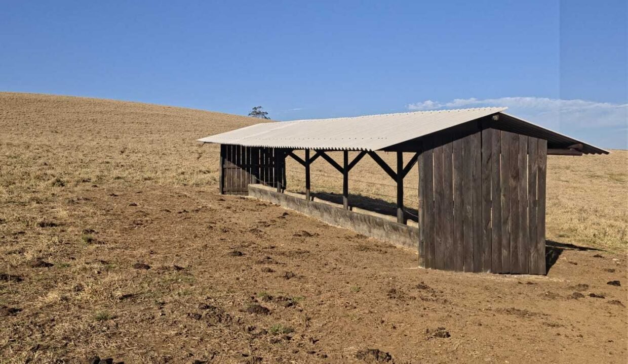 WhatsApp Image 2025-07-30 at 10.15.35 (2)