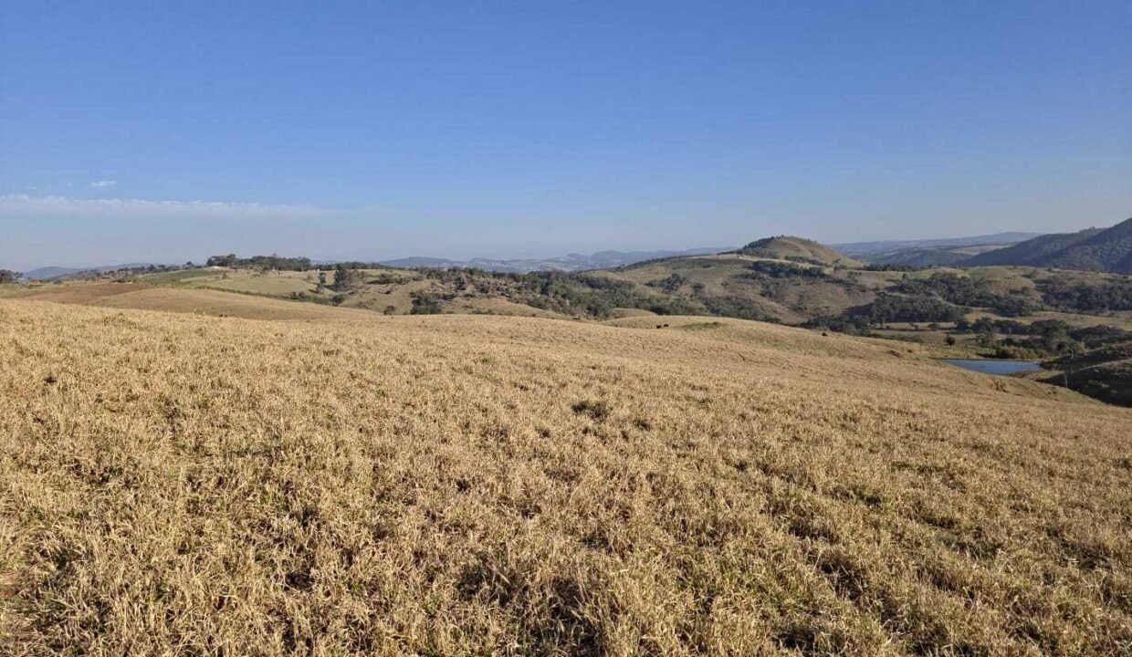 WhatsApp Image 2025-07-30 at 10.15.36 (1)