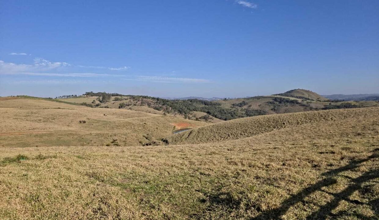 WhatsApp Image 2025-07-30 at 10.15.36 (3)