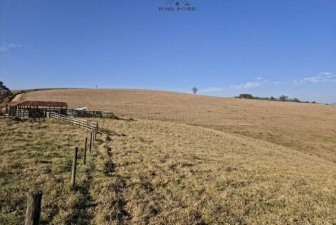 WhatsApp Image 2025-07-30 at 10.15.36