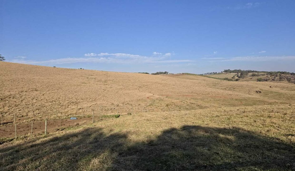 WhatsApp Image 2025-07-30 at 10.15.37 (1)