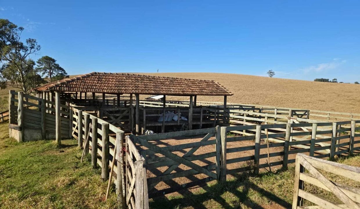 WhatsApp Image 2025-07-30 at 10.15.38 (3)