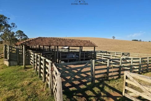 WhatsApp Image 2025-07-30 at 10.15.38 (3)