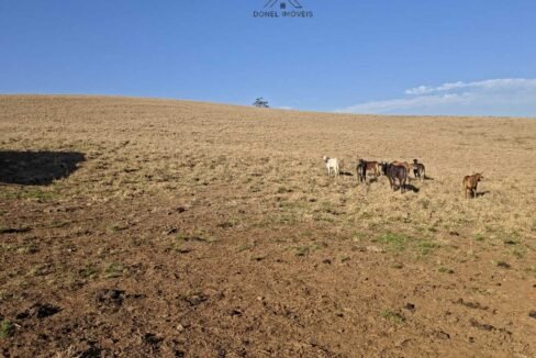 WhatsApp Image 2025-07-30 at 10.15.38