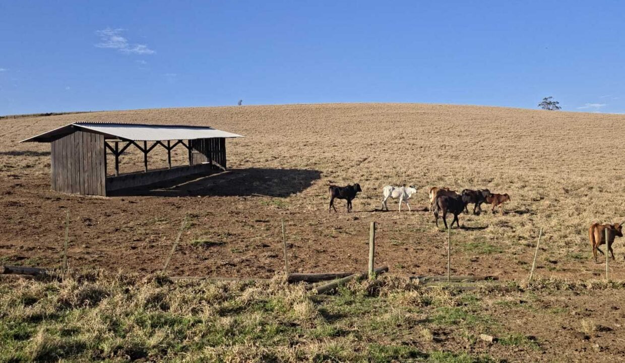 WhatsApp Image 2025-07-30 at 10.15.39