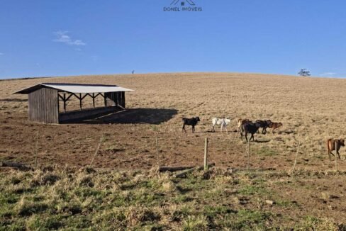 WhatsApp Image 2025-07-30 at 10.15.39