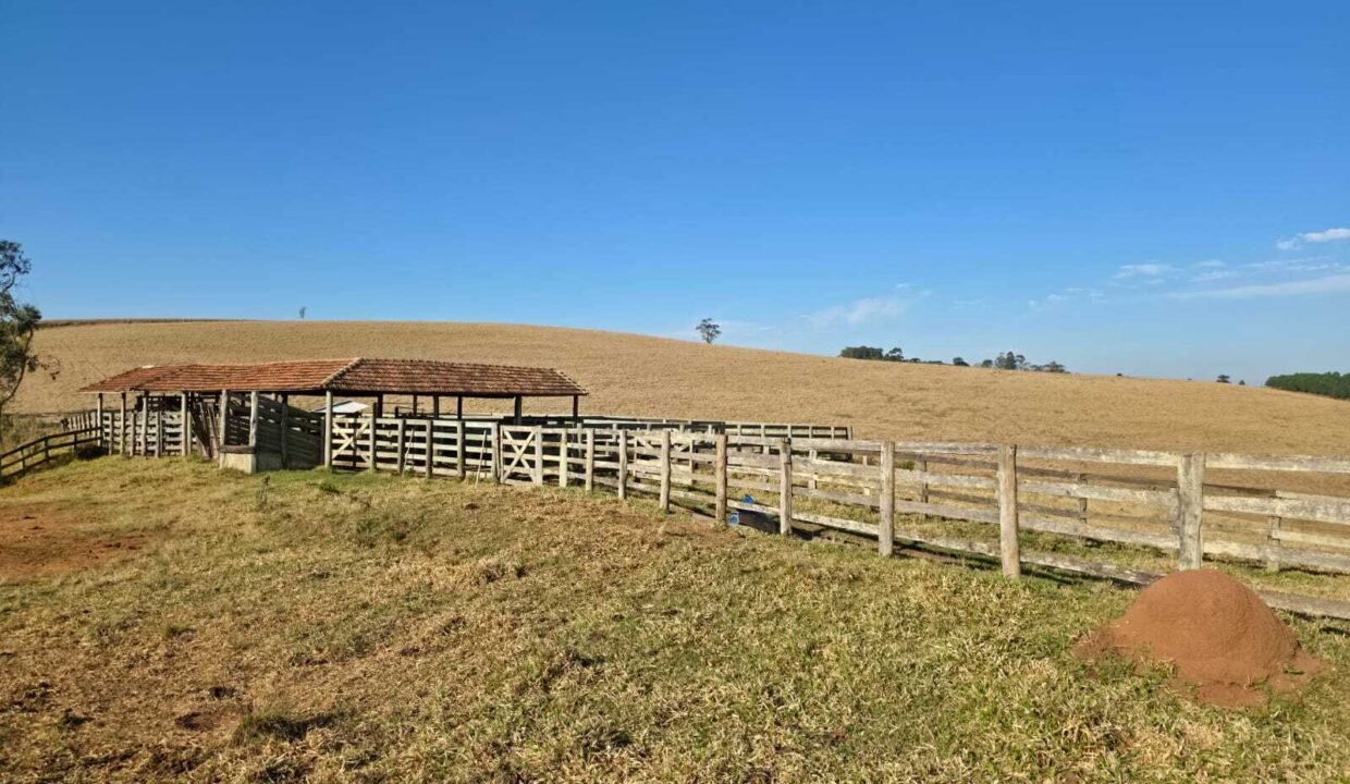 WhatsApp Image 2025-07-30 at 10.15.40 (1)