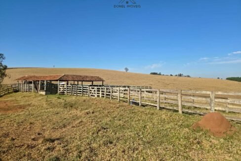 WhatsApp Image 2025-07-30 at 10.15.40 (1)