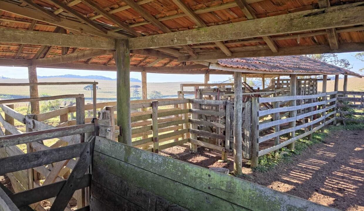 WhatsApp Image 2025-07-30 at 10.15.40