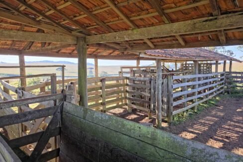 WhatsApp Image 2025-07-30 at 10.15.40