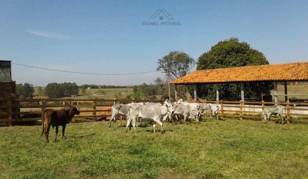 WhatsApp Image 2025-08-01 at 15.00.18 (1)