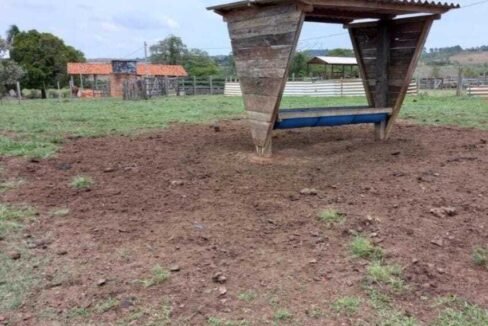 WhatsApp Image 2025-08-01 at 15.00.19 (1)