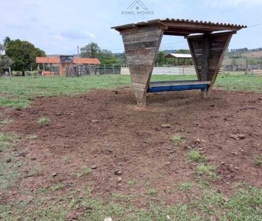 WhatsApp Image 2025-08-01 at 15.00.19 (1)