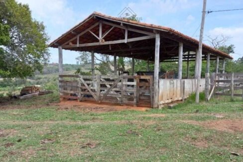 WhatsApp Image 2025-08-01 at 15.00.19 (3)