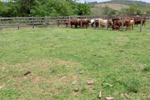 WhatsApp Image 2025-08-01 at 15.00.23