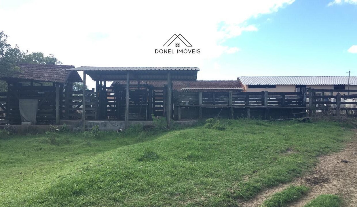 WhatsApp Image 2025-08-13 at 19.55.59