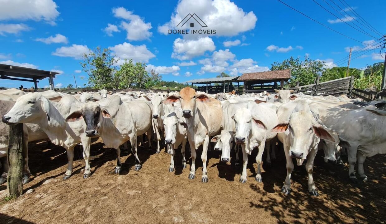 WhatsApp Image 2025-08-13 at 19.56.07 (1)