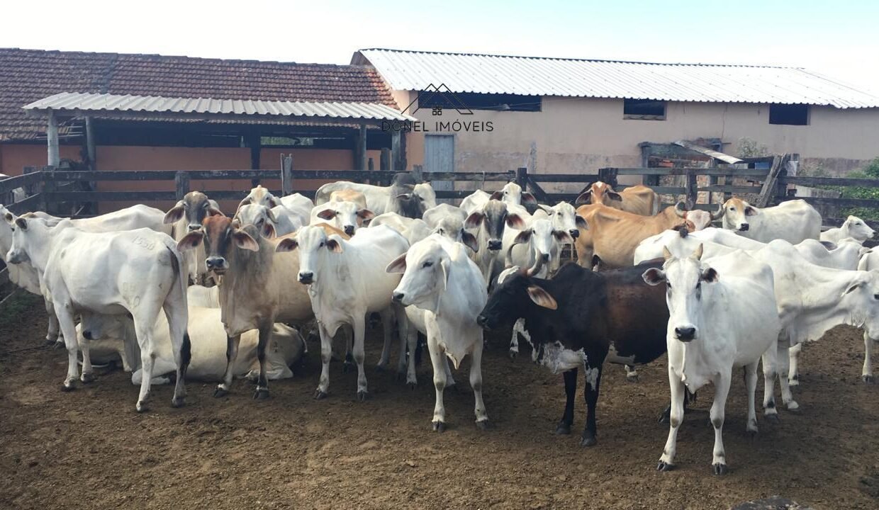 WhatsApp Image 2025-08-13 at 19.56.07