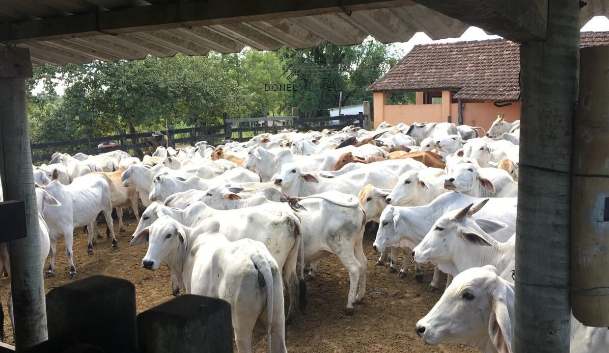 WhatsApp Image 2025-08-13 at 19.56.08 (1)