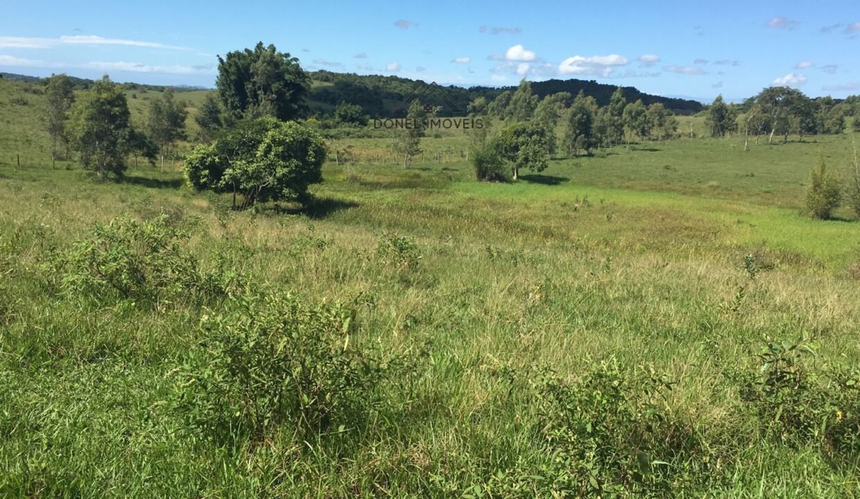 WhatsApp Image 2025-08-13 at 19.56.08 (2)