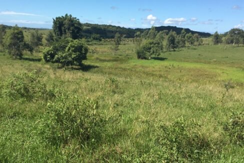 WhatsApp Image 2025-08-13 at 19.56.08 (2)