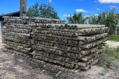 WhatsApp Image 2025-08-13 at 19.56.08