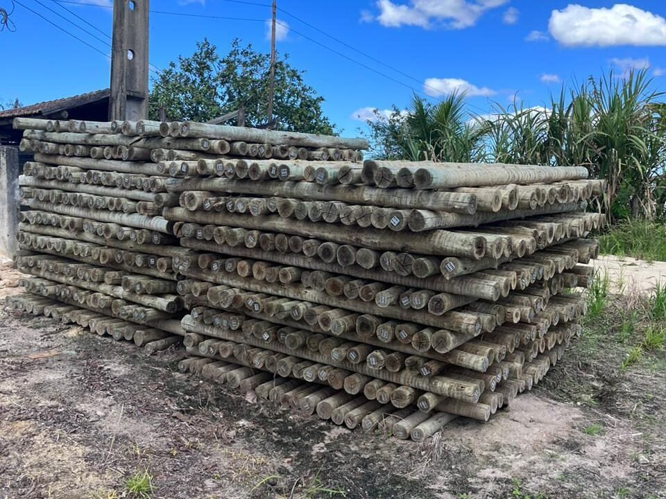 WhatsApp Image 2025-08-13 at 19.56.08