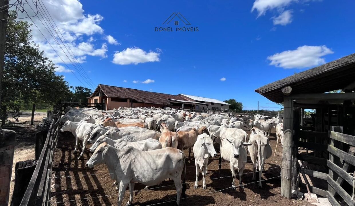 WhatsApp Image 2025-08-13 at 19.56.09 (1)