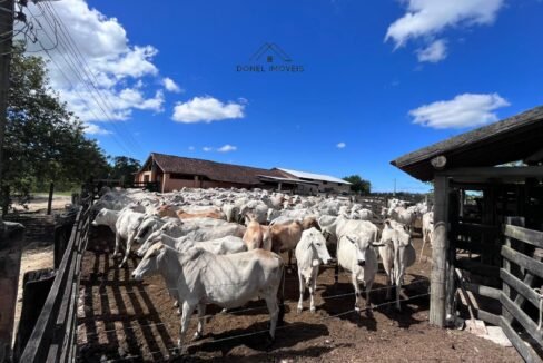 WhatsApp Image 2025-08-13 at 19.56.09 (1)