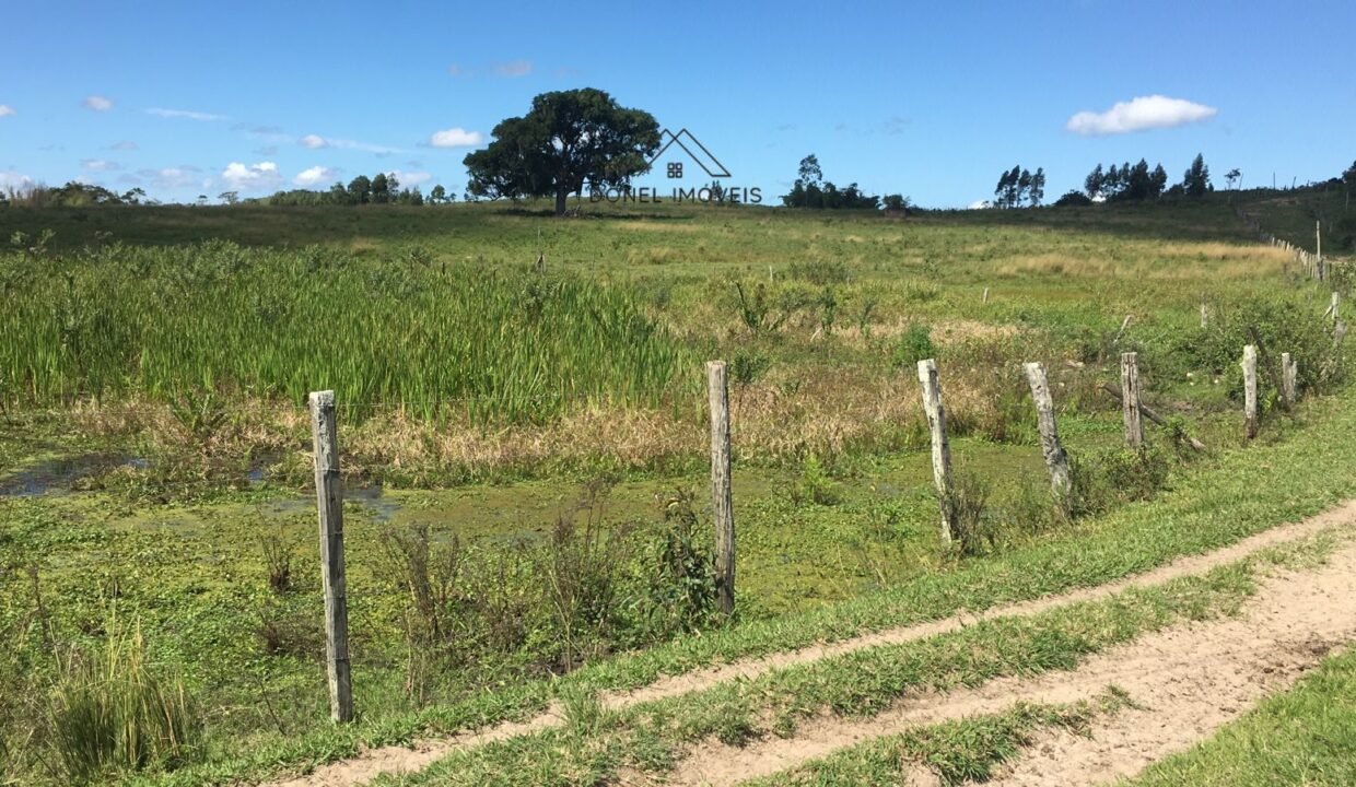 WhatsApp Image 2025-08-13 at 19.56.09