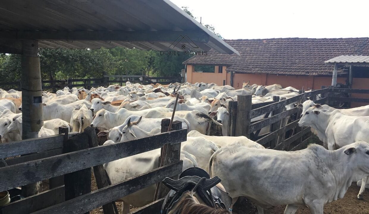 WhatsApp Image 2025-08-13 at 19.56.09 (2)