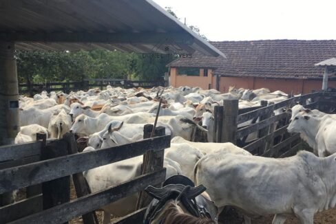 WhatsApp Image 2025-08-13 at 19.56.09 (2)