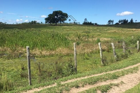 WhatsApp Image 2025-08-13 at 19.56.09