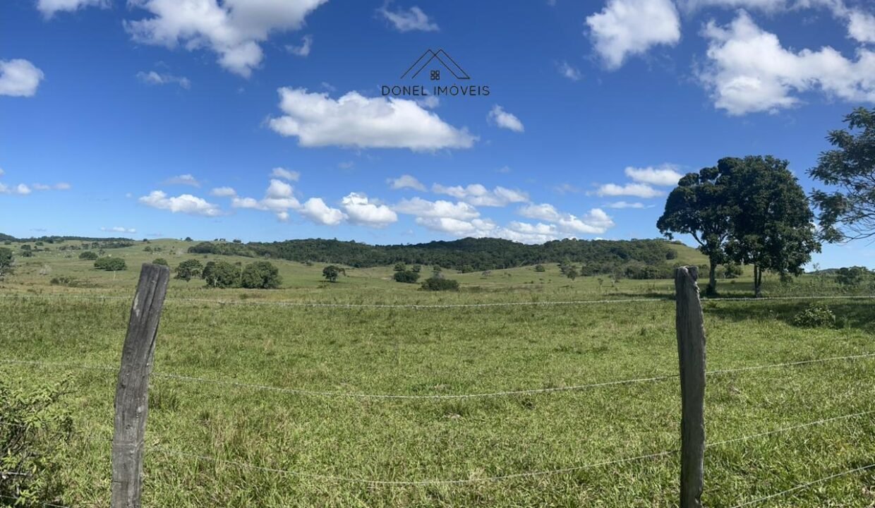 WhatsApp Image 2025-08-13 at 19.56.10 (1)